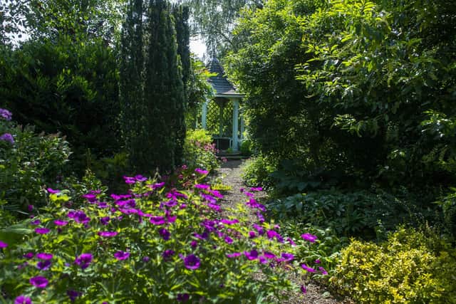 Garden belonging to Biddy Marshall at  The Old Vicarage, Whixley near York. Picture Tony Johnson