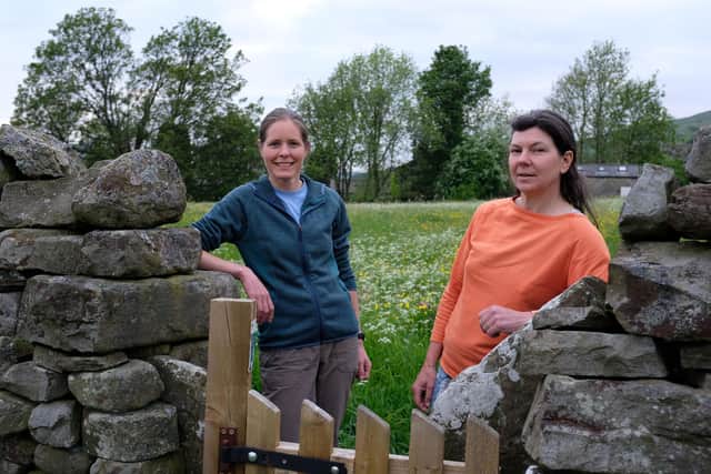 ‘Wing It’ volunteers Stacey Adlard and Rachel Antill by a stile in Gunnerside’. They are recording where swifts are foraging and nesting in Swaledale and Arkengarthdale.