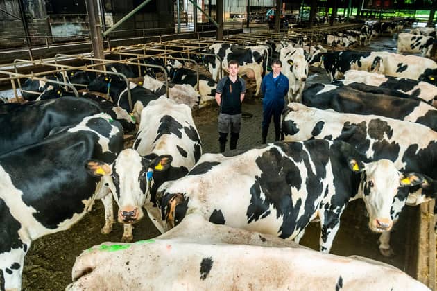 Farmers Tom, and his dad Howard Pattison, of Willow Tree Farm, Thrintoft, near Northallerton, North Yorkshire, manage a herd of 280 dairy cows. Picture By Yorkshire Post Photographer,  James Hardisty.