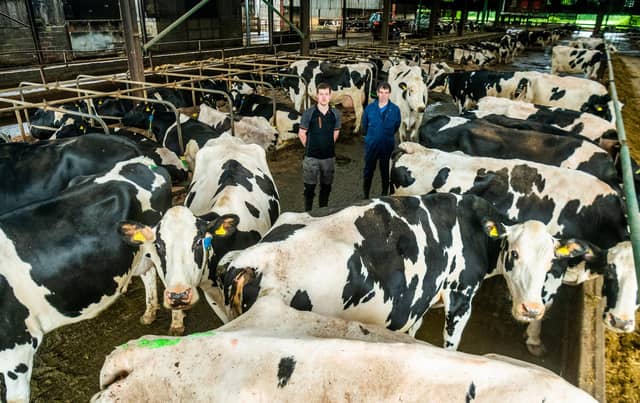 Farmers Tom, and his dad Howard Pattison, of Willow Tree Farm, Thrintoft, near Northallerton, North Yorkshire, manage a herd of 280 dairy cows. Picture By Yorkshire Post Photographer, James Hardisty.