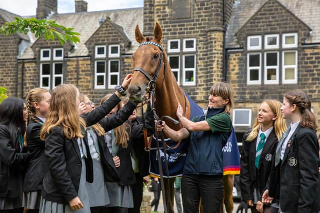 Yorkshire Post columnist and racehorse trainer Jo Foster is also taking part, and her horse, Sigurd, will be carrying out visits in the community this week
