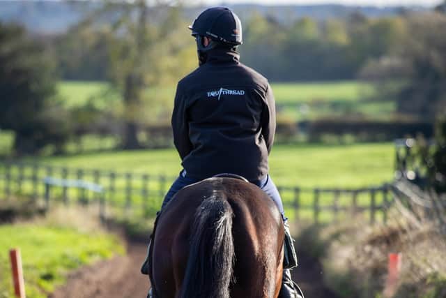 Clothing and kit for horses and riders can be personalised by newly relaunched business Equithread.