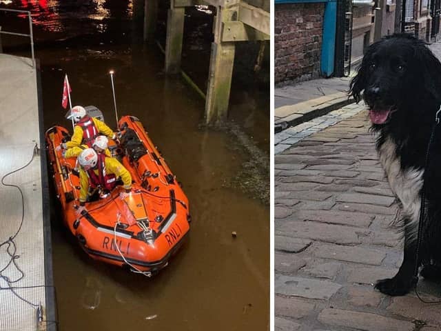 The Whitby RNLI inshore lifeboat was launched after a man entered the water to attempt to rescue a dog in distress.
