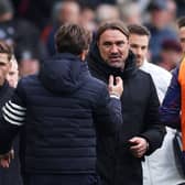 POSITIVE SPIN: Daniel Farke (Image: Alex Livesey/Getty Images)
