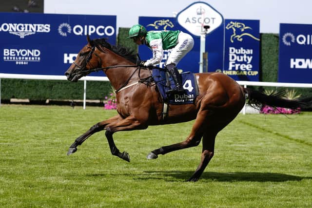 Red hot: Great Britain and Ireland team captain Saffie Osborne rides Tim Easterby’s Red Spells Danger to victory in the Shergar Cup Sprint during team’s Dubai Duty Free Shergar Cup win at Ascot last month. (Photo by Alan Crowhurst/Getty Images)