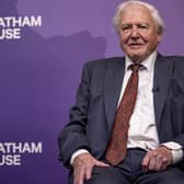 'Sir David Attenborough tells us that we urgently need to stop burning fossil fuels'. PIC: Photo by Rob Pinney/Getty Images