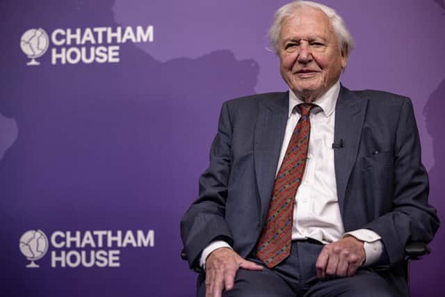 'Sir David Attenborough tells us that we urgently need to stop burning fossil fuels'. PIC: Photo by Rob Pinney/Getty Images