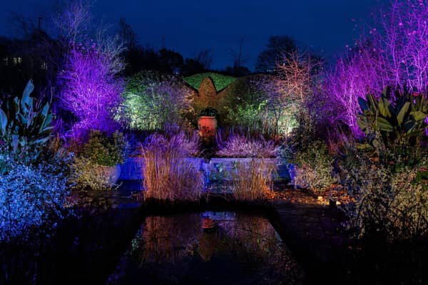 Glow 2023 at RHS Harlow Carr, Harrogate, creates a magical scene with the illuminations create a spectaculat trail in the gardens. Picture Bruce Rollinson