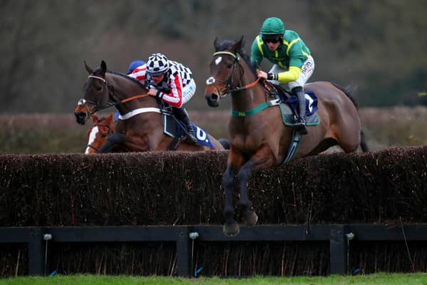 Back to his best: The Catterick-trained Bushypark won the Vickers.Bet North Yorkshire Grand National Handicap Chase at his home track yesterday under Tommy Dowson for trainer Phil Kirby.