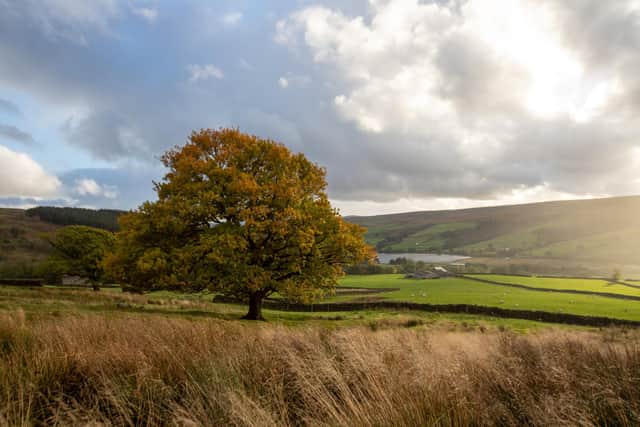 The property and land at Harrogate is located within the Nidderdale Area of Outstanding Natural Beauty (AONB)