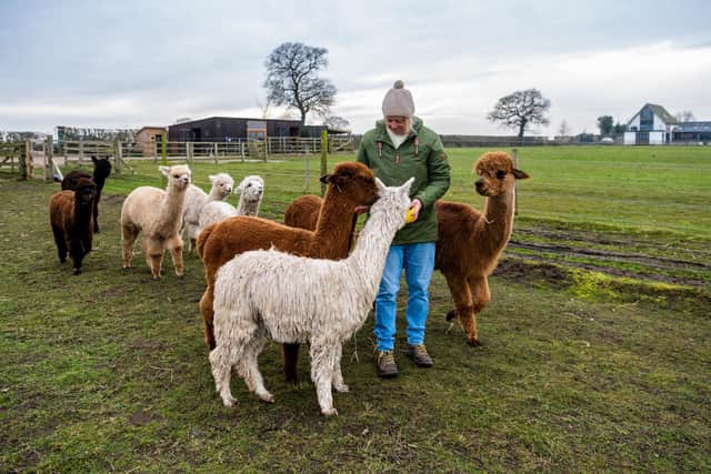 Caroline Barugh, owner of Sheriff Alpacas and Goodness Farm, Sheriff Hutton, York.