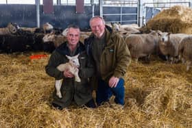 Brothers Dave and Rob Nicholson, with a new born lamb only few days old. (Pic credit: James Hardisty)