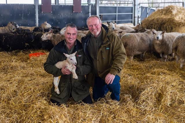 Brothers Dave and Rob Nicholson, with a new born lamb only few days old. (Pic credit: James Hardisty)