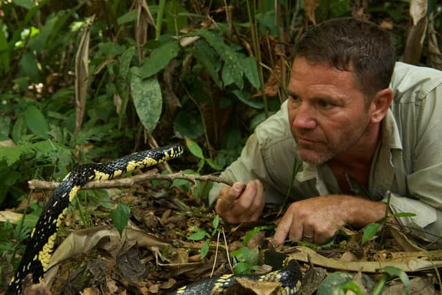 Adventurer Steve Backshall. Photo: True to Nature Ltd/Graham MacFarlane