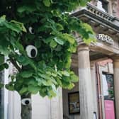 Artwork on trees in Leeds city centre. (Pic credit: Leeds City Council)