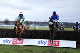 Hat-trick bid: Danny McMenamin and Malystic on their way to victory in The Sky Bet Extra Places Every Day Handicap Chase at Doncaster Racecourse last month – the horse’s second victory in succession.