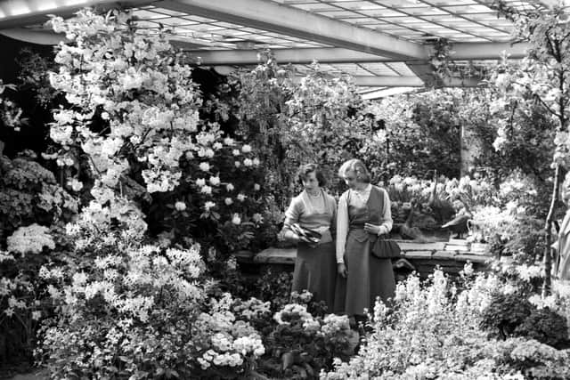 Visitors to Harrogate Flower Show C 1953
Picture:Harrogate Flower Show