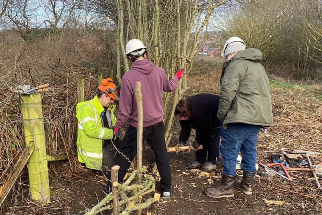 The conservation group in action