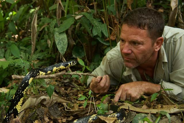 Steve Backshall in the wild. Picture: True to Nature Ltd.