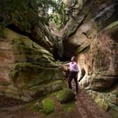 Robert Hunter pictured at Plumpton Rocks, Harrogate. The rocks have reopened after renovation work. Picture by Simon Hulme 3rd September 2022










