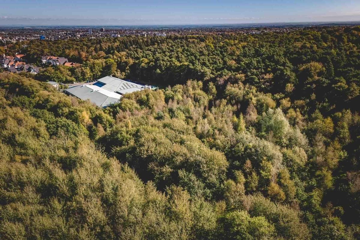 Harrogate Spring Water: Plan for bottling plant on Yorkshire woodland ...