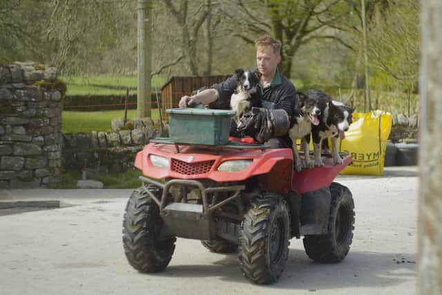 Farmer Dave Fullerton with his sheep dogs working at Hall Farm in Gammersgill in Coverdale.
