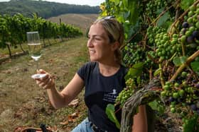 Little Wold Vineyard at South Cave in East Yorkshire.
Alice Maltby with one of their sparkling wines amongst the vines.