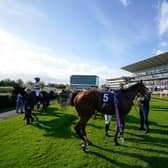 In the hunt: Doncaster Racecourse has received two nominations in the 2023 Racecourse Association Showcase Awards.
(Photo by Alan Crowhurst/Getty Images)