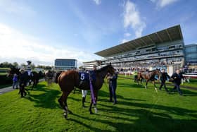 In the hunt: Doncaster Racecourse has received two nominations in the 2023 Racecourse Association Showcase Awards.
(Photo by Alan Crowhurst/Getty Images)