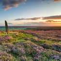 Sunset over purple heather in bloom at Little Blakey Howe, on Blakey Ridge in the heart of the North York Moors National park.