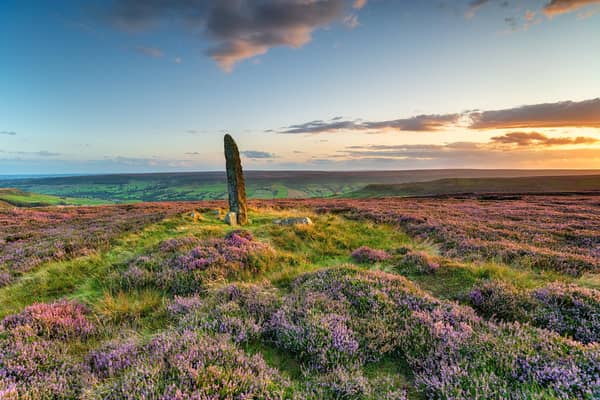 Sunset over purple heather in bloom at Little Blakey Howe, on Blakey Ridge in the heart of the North York Moors National park.