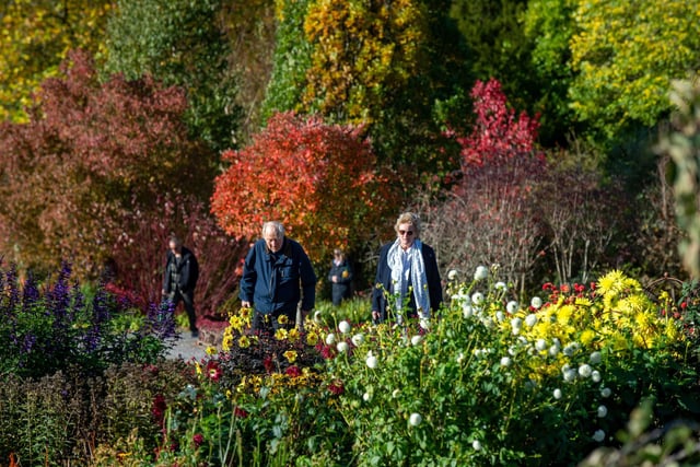 RHS Garden Harlow Carr Festival of Flavours.
Autumn colours.
22 October 2022.  Picture Bruce Rollinson