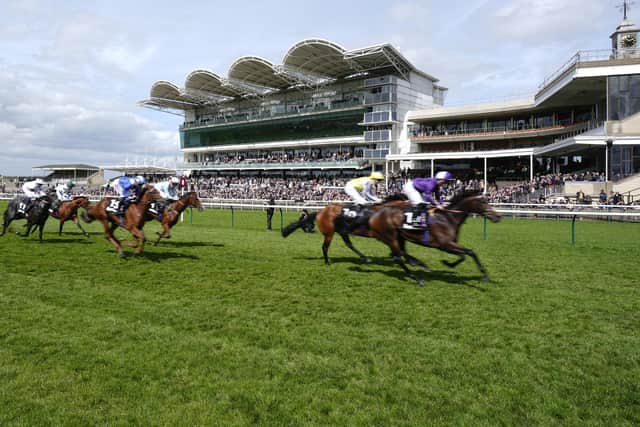 Memorable day for Yorkshire trainers Mark Walford and Harriet Bethell ...