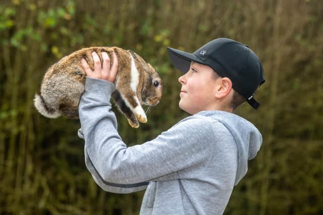Suzie and Howard Wright, have recently bought a small holding called Little Haven Farm at Haven Side, Hedon, near Hull. The couple along with their children plan to open the farm as a petting and resuce centre. Pictured Jake Wright, 13, holding one of their rabbits.