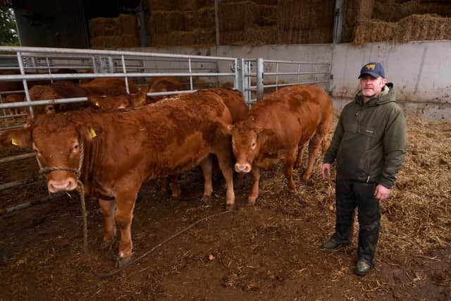 Clive Rowland pictured with his cattle at Garrowby Farm, Garrowby Estate, York