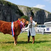 Hannah Brown winning a class at Kilnsey Show in 2019