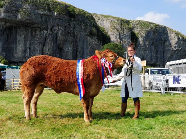 Hannah Brown winning a class at Kilnsey Show in 2019