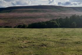 The North York Moors National Park Authority is aiming to restore various areas of peatland Picture: LDRS