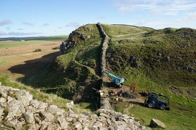 Work begins in the removal of the felled Sycamore Gap tree, on Hadrian's Wall in Northumberland. Photo credit: Owen Humphreys/PA Wire