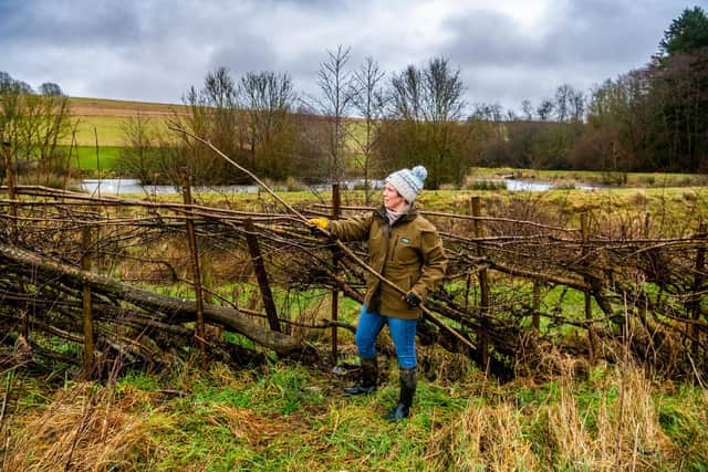 Farmer Frances Standen of Birkdale Farm, Mowthorpe, near Terrington, North Yorkshire, along with her husband James run a 300-acre farm committed to regenerative farming principles and education in such as hedgelaying  and botany