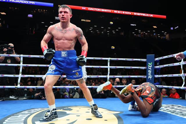 Knockout blow: Dalton Smith knocks down Subriel Matias in the fifth round of their WBC super lightweight championship bout in Brooklyn in January (Picture: Ed Mulholland/Getty Images)