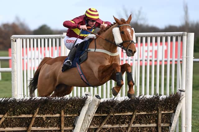 Good to go: Doncaster is set to stage its first jumps meeting of the new year at Town Moor on Wednesday. (Photo by Gareth Copley/Getty Images)