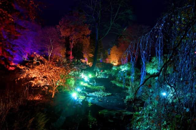 16th November 2022
RHS Glow 2022 at Harlow Carr, Harrogate
Winter illuminations have returned to RHS Harlow Carr following last yearâ€™s success and are hoping to get Harrogate residents into the festive spirit.
Picture Gerard Binks