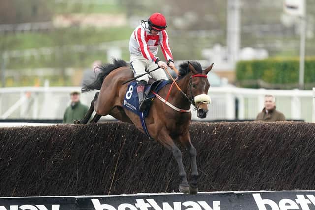 GOOD FINISH: The Real Whacker ridden by Sam Twiston-Davies on their way to winning the Brown Advisory Novices' Chase on day two of last year's Cheltenham Festival. Picture: Mike Egerton/PA