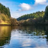 Dalby Forest featured in a Channel 5 series  'Secret Life in the Forest along with its neighbours Cropton and Langdale forests. Staindale Lake in Dalby photographed by Tony Johnson for The Yorkshire Post.