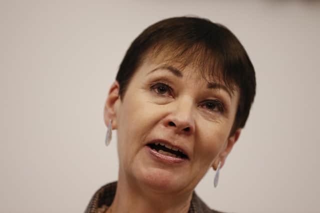 Caroline Lucas is the MP for Brighton Pavilion. PIC: Hollie Adams/Getty Images