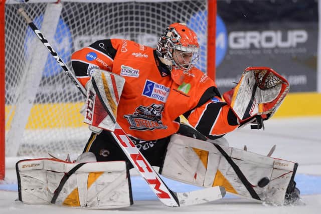 SOLID: Matt Greenfield has excelled for Sheffield Steelers this season. Picture courtesy of Dean Woolley/Steelers Media/EIHL