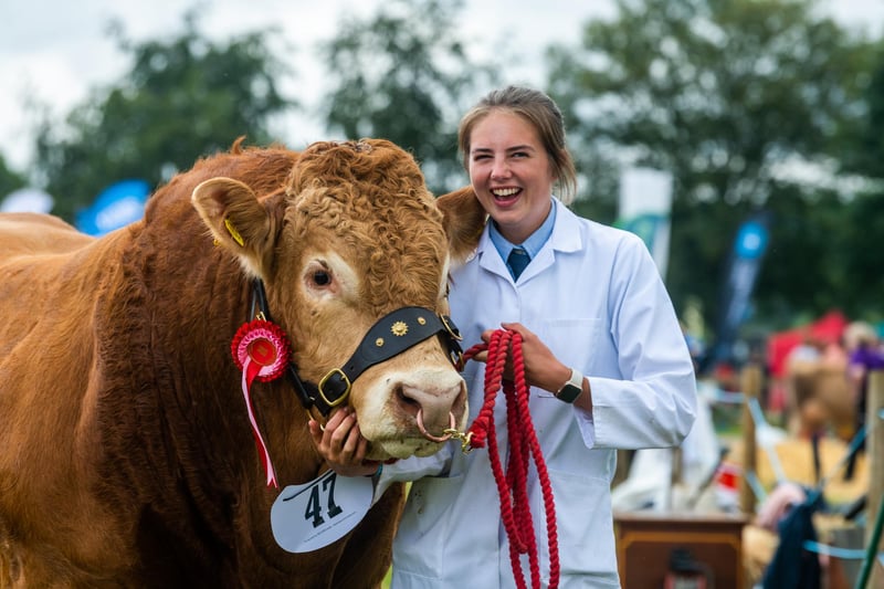 Helena Scott, 20, of Lund, near Driffield, holds a Limousin Bull,  Rossellie Ticket, owned by PR Walker & Sons of Manor House Farm, after winning the Junior  Limousin Bull Class.