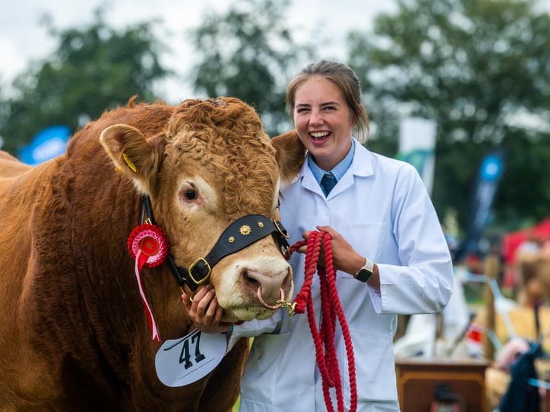 Helena Scott, 20, of Lund, near Driffield, holds a Limousin Bull,  Rossellie Ticket, owned by PR Walker & Sons of Manor House Farm, after winning the Junior  Limousin Bull Class.
