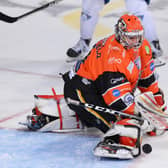 SOLID: Matt Greenfield has started the season well for Sheffield Steelers. Picture: Dean Woolley/EIHL Media.